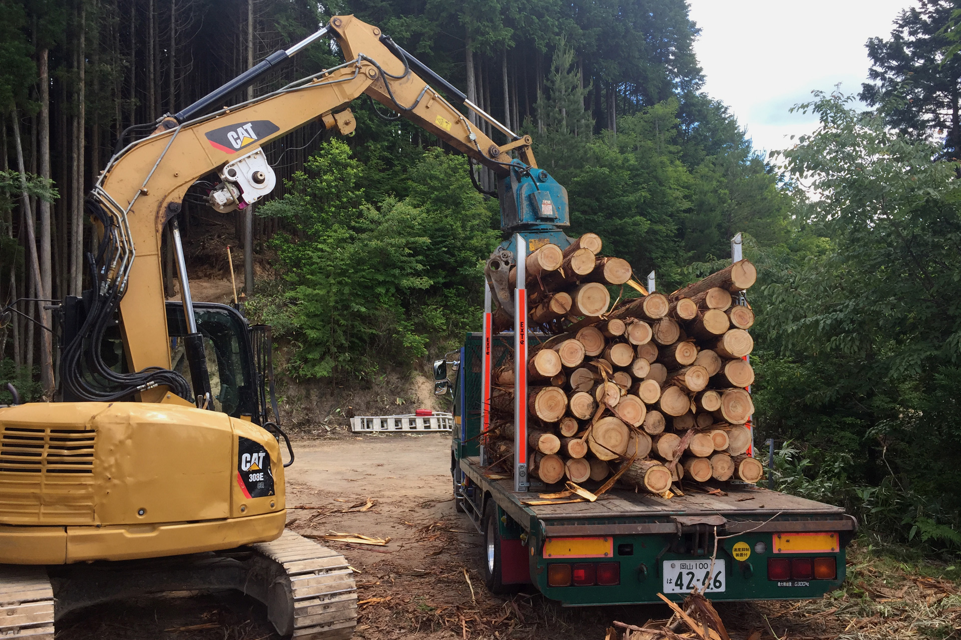 岡山県津山市の林業・素材生産、製材業　藤本林業